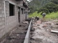 20080526_1980601203_kpataba3